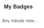 My Badges   any minute now... 