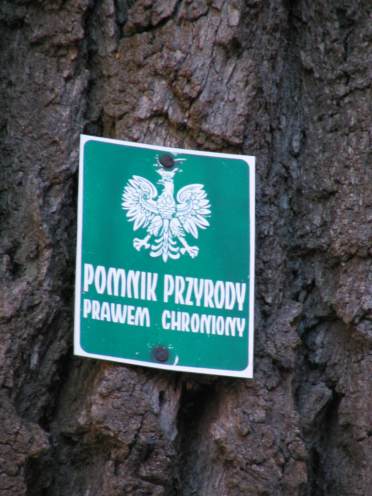 tabliczka-pomnik-przyrody_49839.jpg