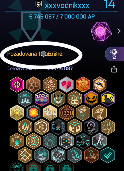 ingress- profile- text overflown.png