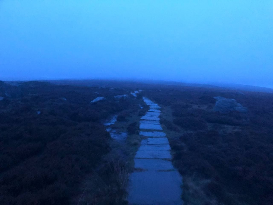 Dark moorland path