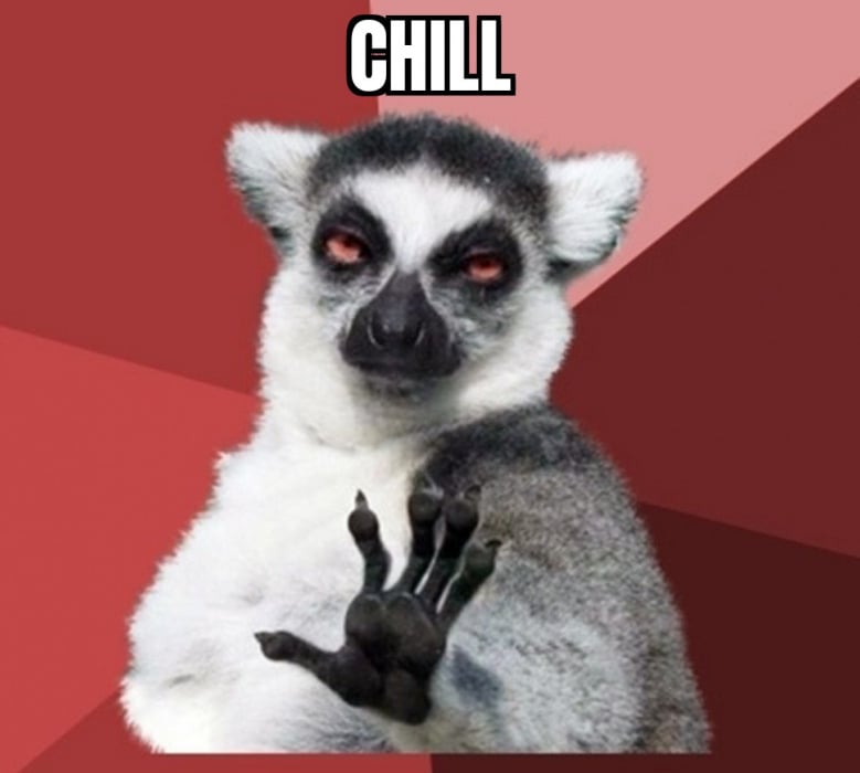 chill out lemur 15022024101117.jpg